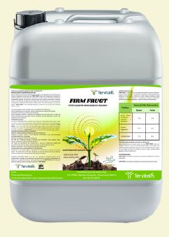 FIRM FRUGT